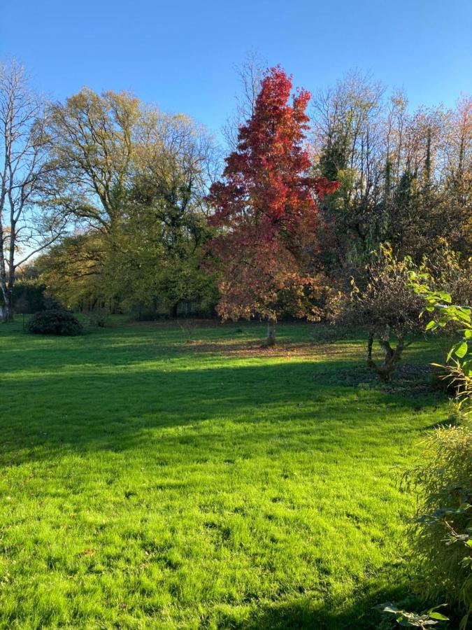 L'Aire Des Oiseaux Villa Muno Eksteriør billede